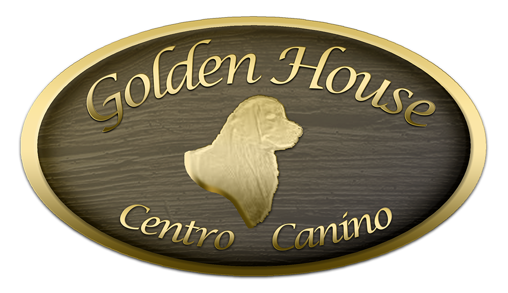 trabajo Sofocante invención Centro Canino Golden House - Home